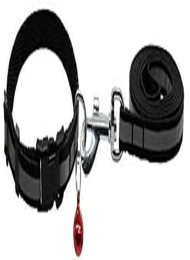 Pups&Pets طقم Pups&Pets مكون من قطعتين من مقود النايلون مع طوق للجراء الصغيرة - عرض 10 مم - Image 2